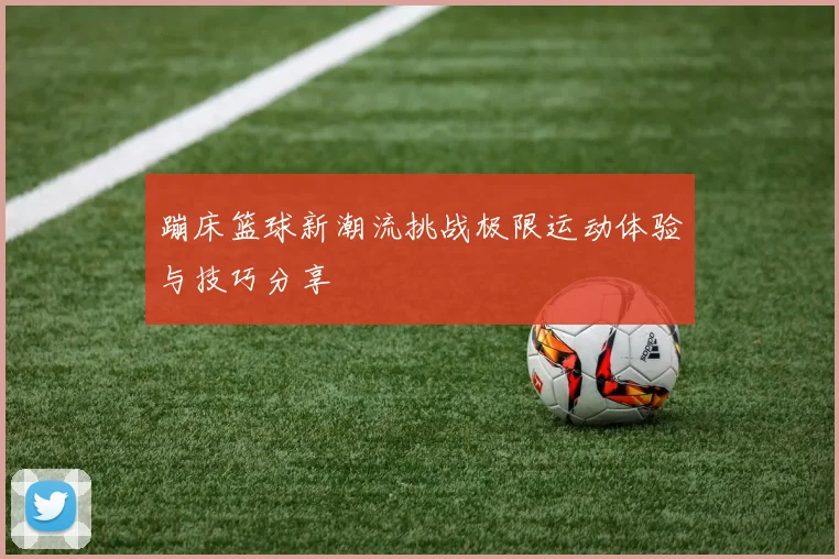 蹦床篮球新潮流挑战极限运动体验与技巧分享
