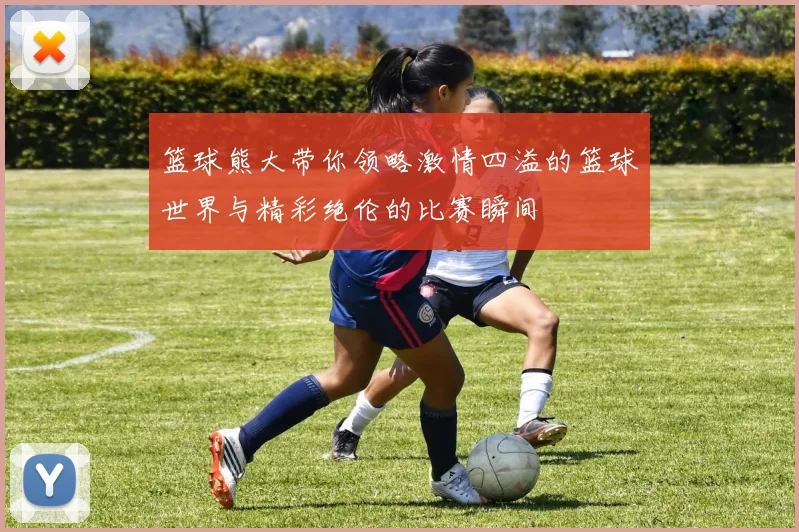 篮球熊大带你领略激情四溢的篮球世界与精彩绝伦的比赛瞬间