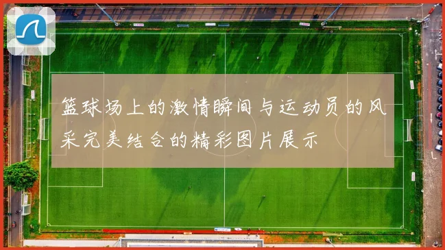 篮球场上的激情瞬间与运动员的风采完美结合的精彩图片展示