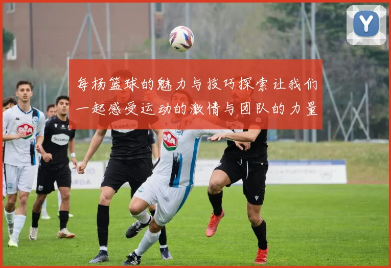 每杨篮球的魅力与技巧探索让我们一起感受运动的激情与团队的力量